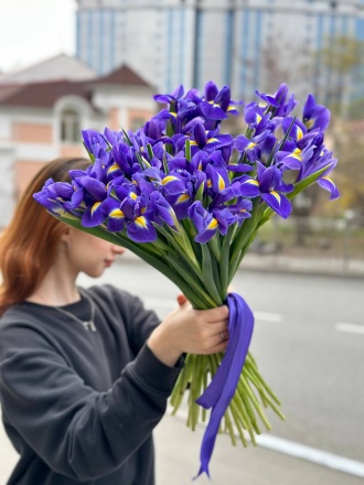 Ирисы